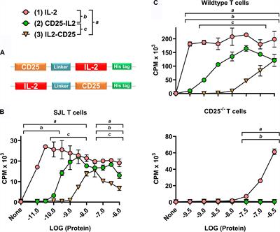 Low-Zone IL-2 Signaling: Fusion Proteins Containing Linked CD25 and IL-2 Domains Sustain Tolerogenic Vaccination in vivo and Promote Dominance of FOXP3+ Tregs in vitro